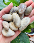 Moonstone Tumbled Stones