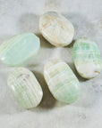 sarah belle carribean calcite palm stone