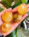 golden healer palm stones from sarah belle