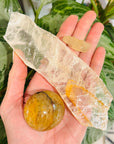 Sarah Belle - Radiance Ritual Solar Ray Bundle