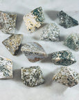 Sarah Belle Ocean Jasper