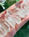 Sarah Belle - Starbrary Quartz