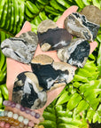 Sarah Belle - Volcano Agate Palm Stone