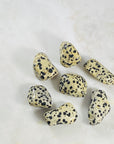 Tumbled dalmatian jasper for supporting the root chakra