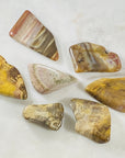 Petrified wood for grounding and patience