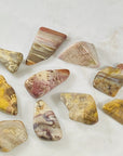 Petrified wood for healing root chakra