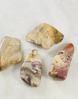 Petrified wood energy healing