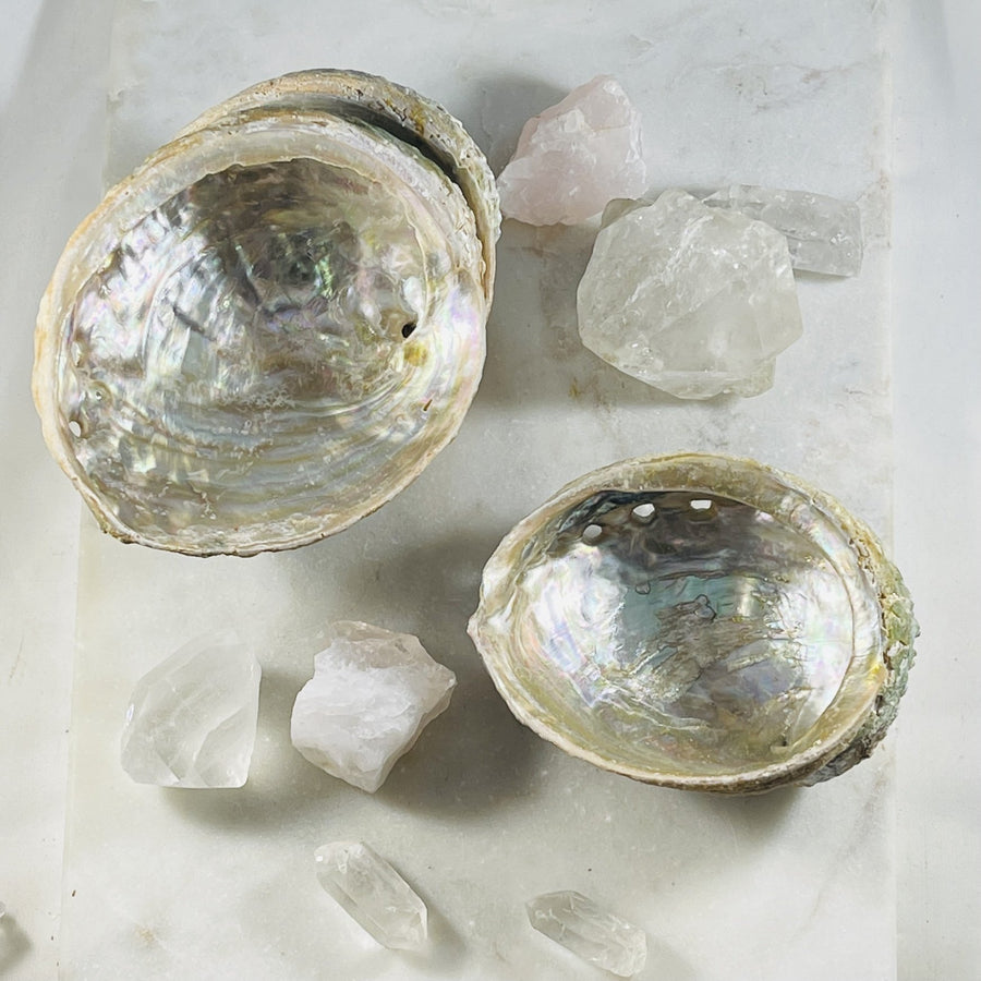 abalone shell for relaxation from sarah belle