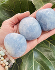 Sarah Belle Blue Calcite Palm Stone