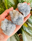 sarah belle celestite druzy cluster small