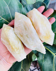 sarah belle natural citrine point from brazil