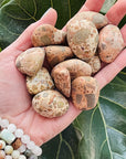 sarah belle leopardite tumbled stone for self-acceptance