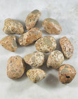 sarah belle leopardite tumbled stone for raising your vibration
