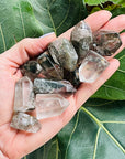 sarah belle lodalite garden quartz for journeying