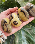 Sarah Belle septarian palm stones for root chakra