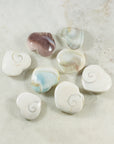 shiva shell heart talisman for wisdom and good luck sarah belle