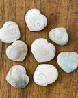 shiva shell heart for good luck sarah belle