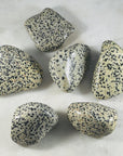 sarah belle dalmatian jasper extra large tumbles