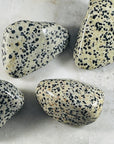 sarah belle dalmatian jasper extra large tumble