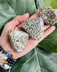 sarah belle dalmatian jasper extra large tumbles