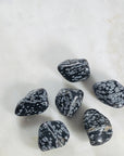 Snowflake Obsidian Healing Crystal for Removing Negative Energy