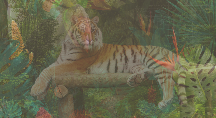 Journey to Wholeness: Six Ways Power Animal Retrieval Can Empower You