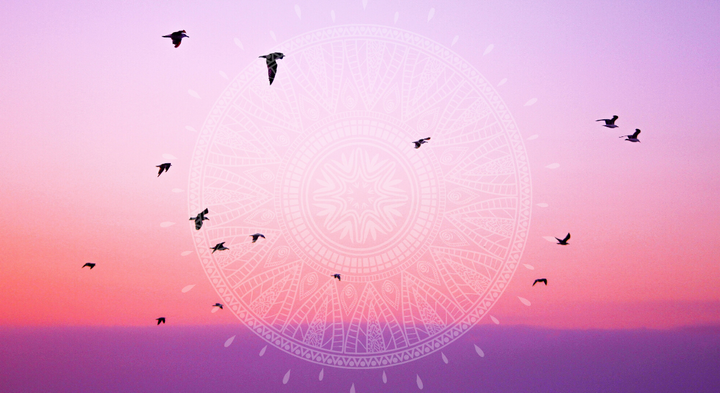 Summer Solstice – Harnessing Your Light and Expanding into Higher Potential