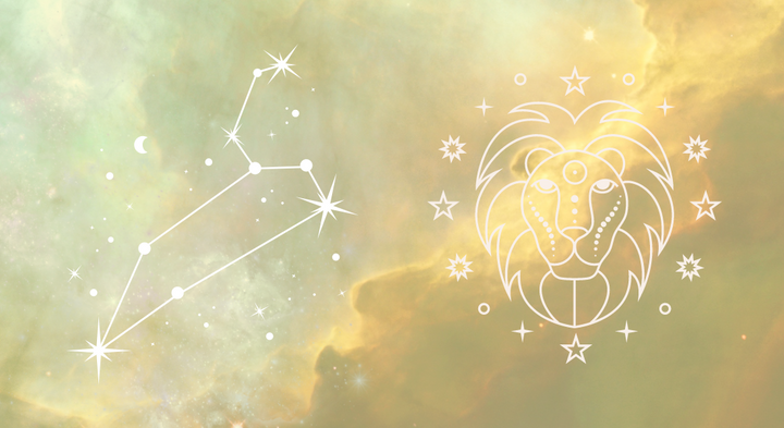 A collection of gifts for the Leos in your life!