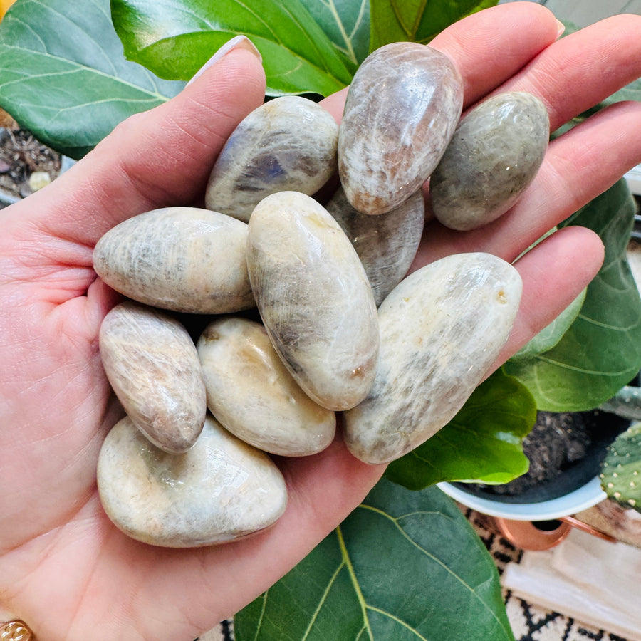 Moonstone Tumbled Stones