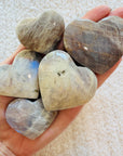 Sarah Belle - Belmorite Moonstone Heart Palm Stone