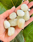 sarah belle caribbean blue calcite tumble for heart and throat chakras