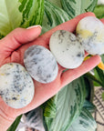sarah belle dendritical opal palm stone