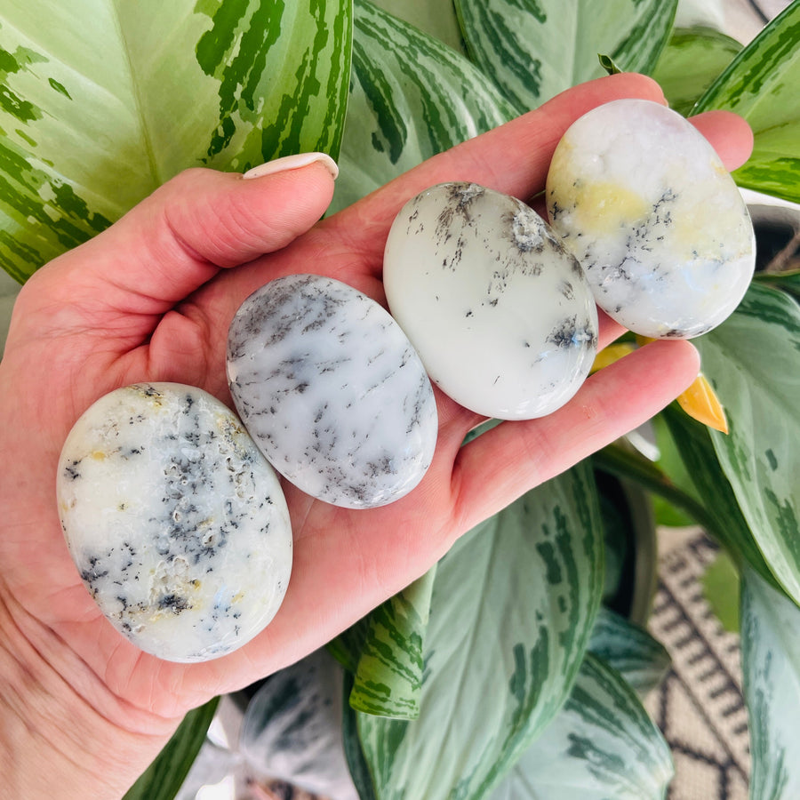 sarah belle dendritical opal palm stone