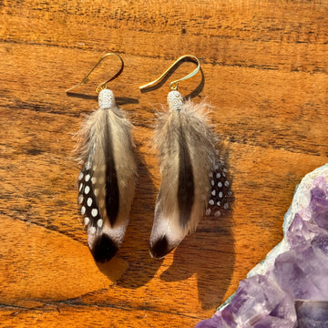 Handmade Feather Earrings 24