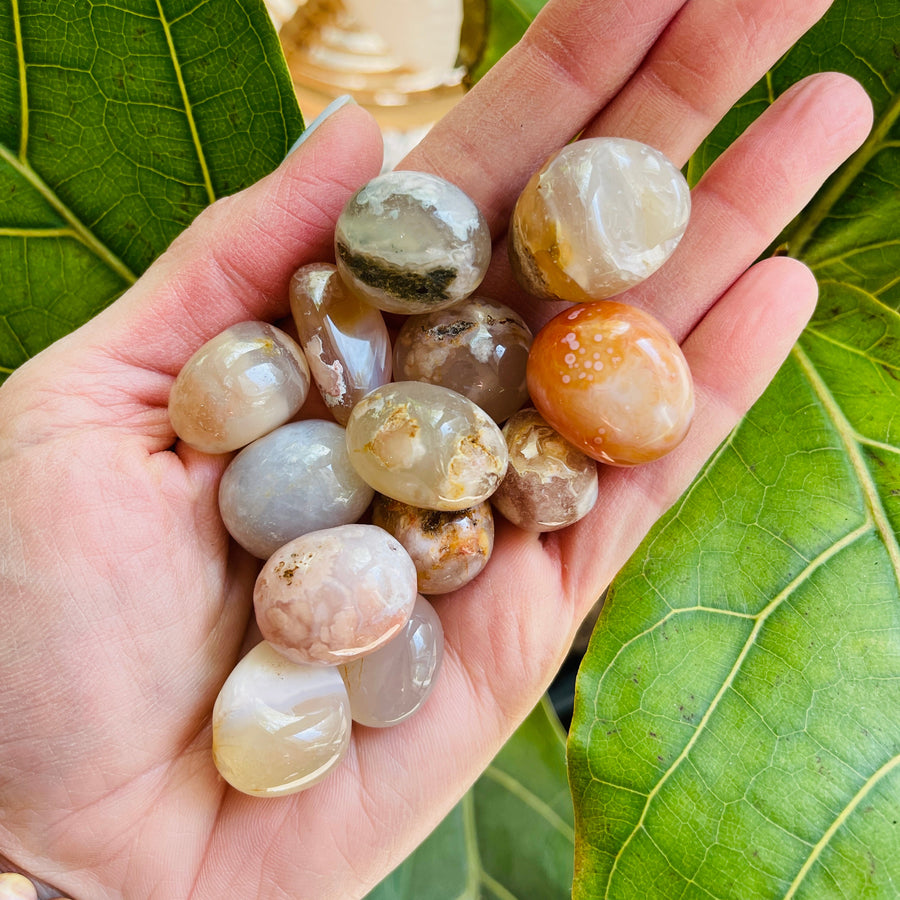 sarah belle flower agate tumble stone