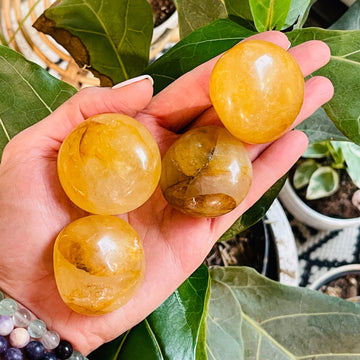 golden healer palm stones from sarah belle