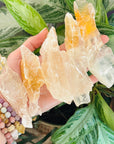 Golden Phantom Selenite