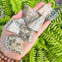 Sarah Belle Ocean Jasper Freeform
