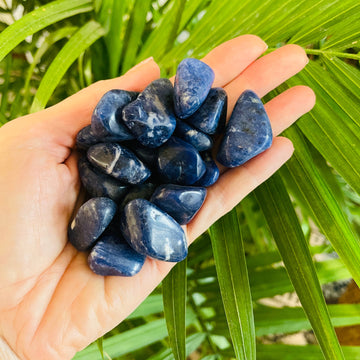 sarah belle sodalite tumble for throat chakra