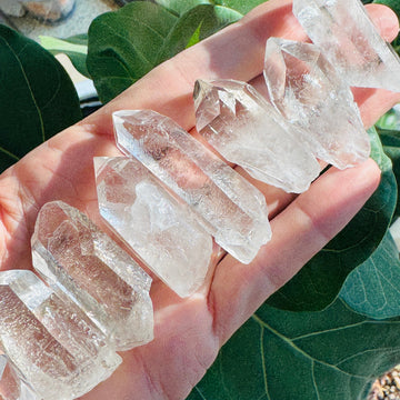 Sarah Belle - Starbrary Quartz