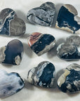 Sarah Belle - Volcano Agate Palm Stone