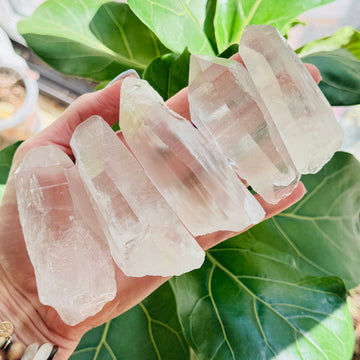 Sarah Belle Lemurian Quartz Crystal Point from Minas Gerais Brazil