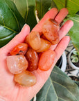 sarah belle carnelian crystal for sacral chakra