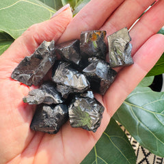 noble shungite by sarah belle
