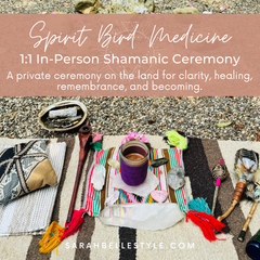 Spirit Bird Medicine Ceremony In-Person
