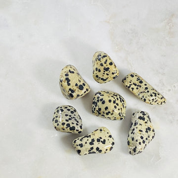 Tumbled dalmatian jasper for supporting the root chakra