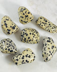 Tumbled dalmatian jasper for supporting the root chakra