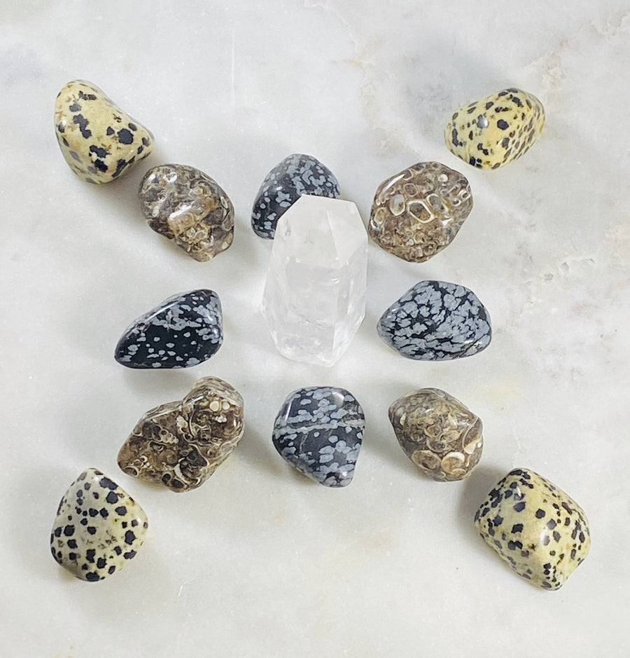 Tumbled dalmatian jasper and crystal grid for root chakra balancing