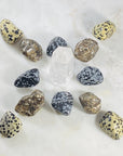Turritella Agate Healing Crystal for Protection and Ancient Wisdom