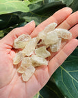 hiddenite crystal for heart healing from sarah belle